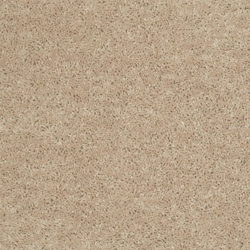 Shaw Floors Value Collections All Star Weekend I 12 Net Flax Seed