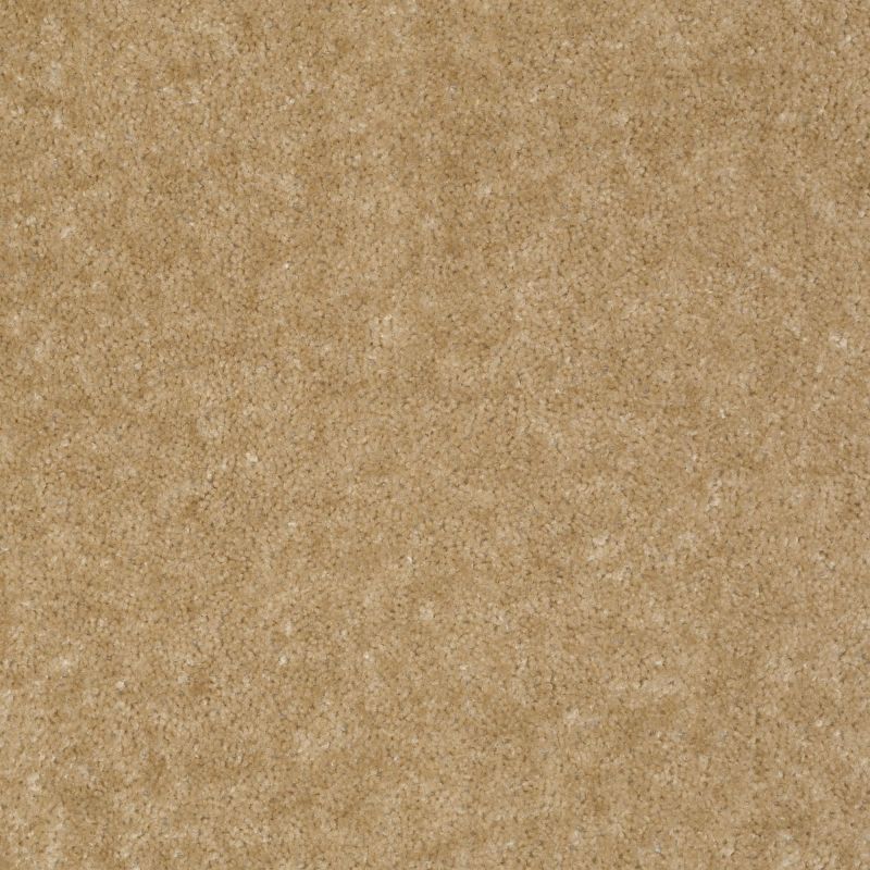 Shaw Floors Value Collections Sprinter Net Tree Trunk