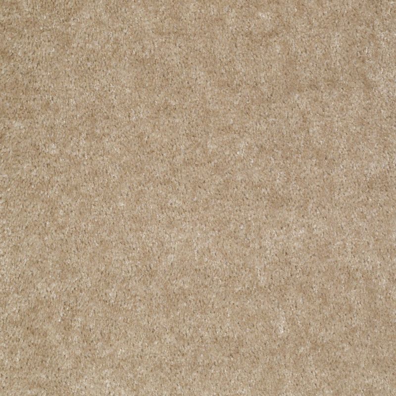 Shaw Floors Value Collections Sprinter Net Chipmunk