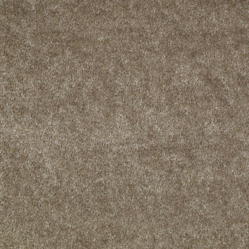 Shaw Floors Value Collections Sprinter Net Putty