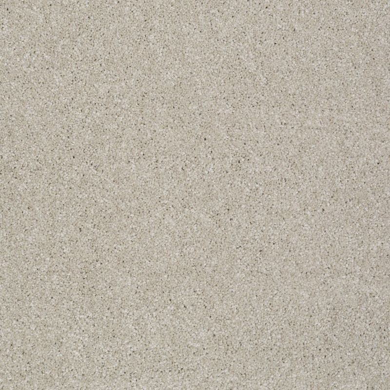 Shaw Floors You Know It Soft Chamois
