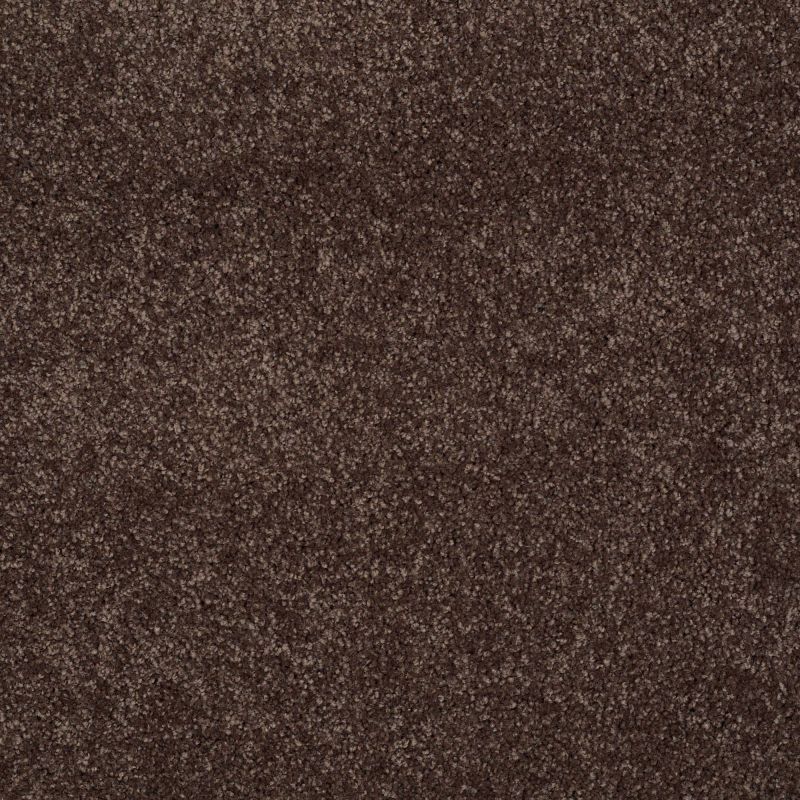 Shaw Floors You Know It Maple