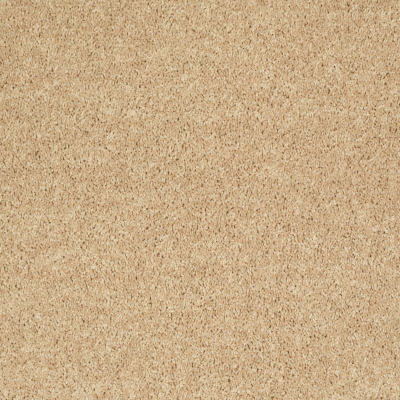 Shaw Floors Value Collections All Star Weekend II 12' Net Crumpet
