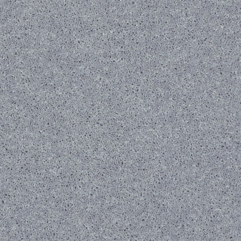 Shaw Floors Value Collections All Star Weekend II 12' Net Dolphin