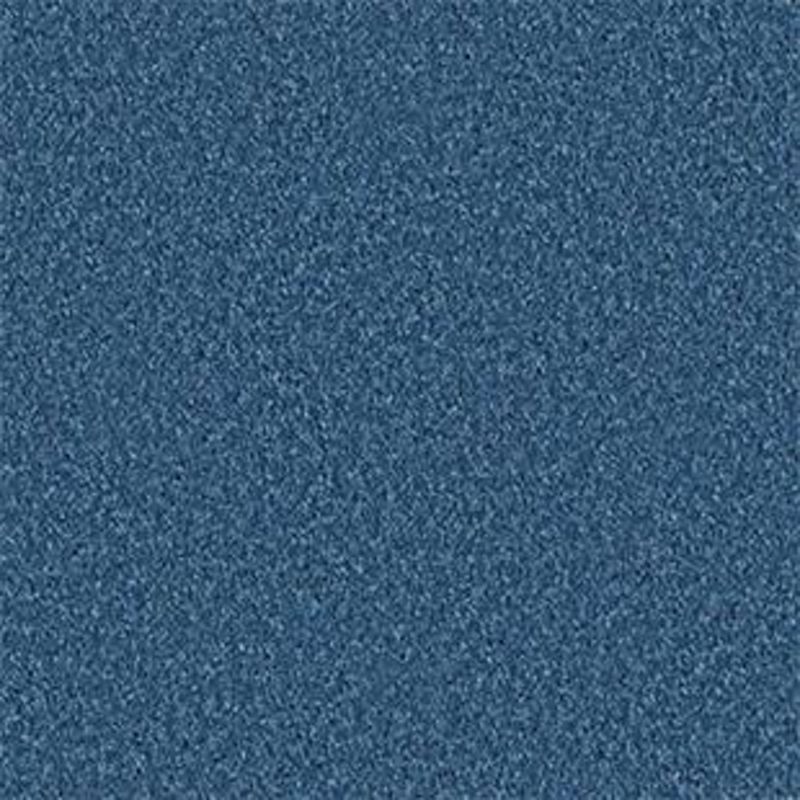 Shaw Floors Value Collections All Star Weekend II 15' Net Indigo