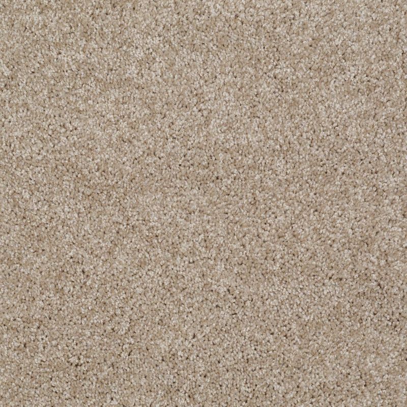 Shaw Floors Make It Yours (s) Wood Bridge