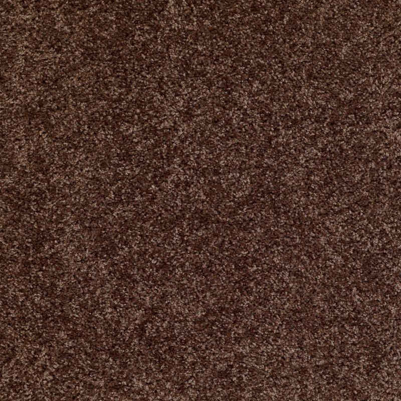 Shaw Floors Make It Yours (s) Montana
