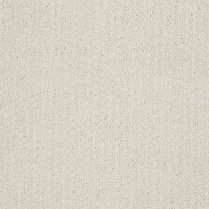 Shaw Floors Simply The Best Pacific Trails Canvas