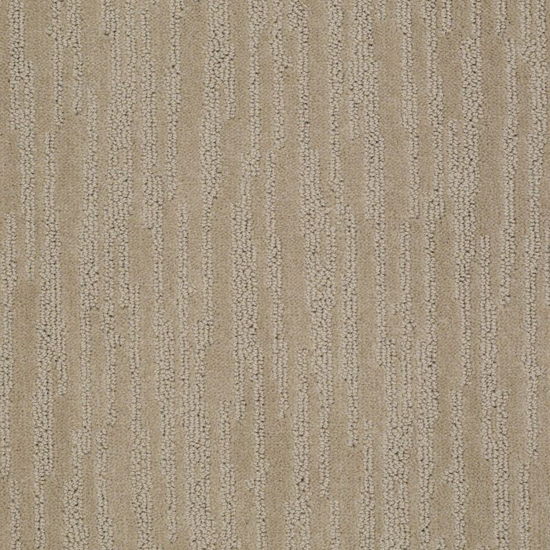 Shaw Floors Value Collections Bandon Dunes Net Hiking Trail