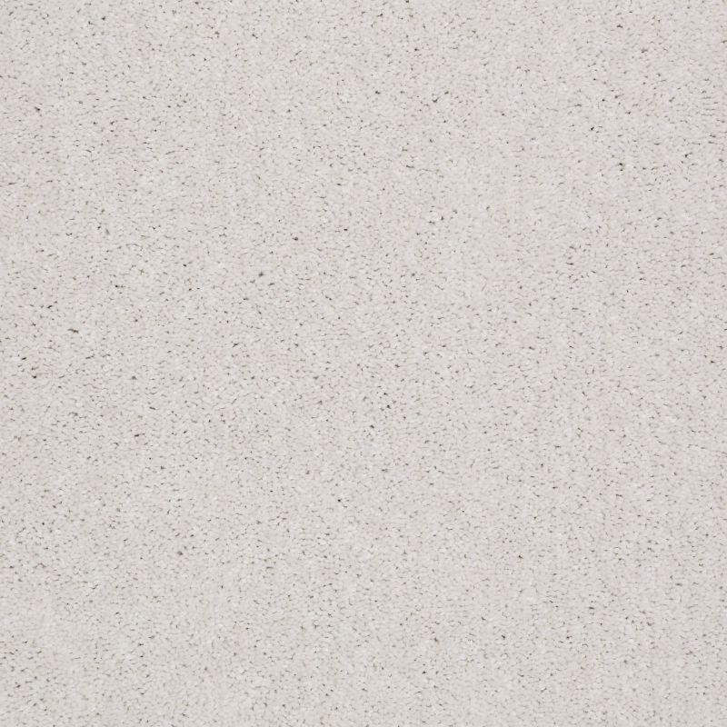 Shaw Floors Value Collections Well Played I 12 Net Fresco