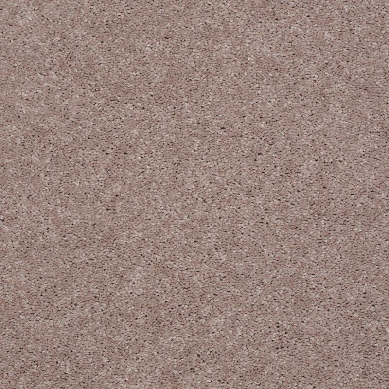 Shaw Floors Value Collections Well Played I 12 Net Pebble Creek