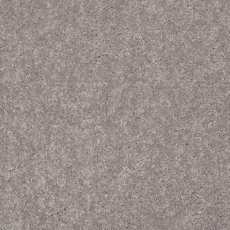 Shaw Floors Value Collections Well Played I 12 Net Mocha Frost