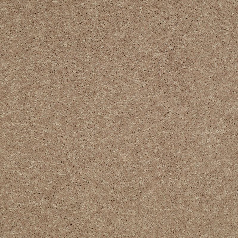 Shaw Floors Value Collections Well Played II 12' Net Honeycomb