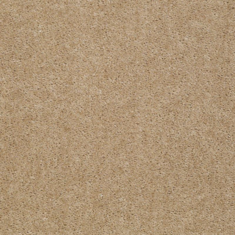 Shaw Floors Value Collections Let's Race Net Pebble Walk