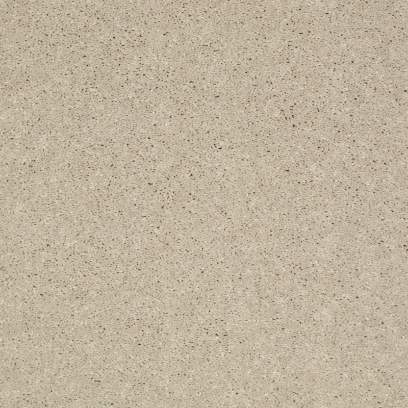 Shaw Floors Value Collections Well Played I 15' Net Ecru