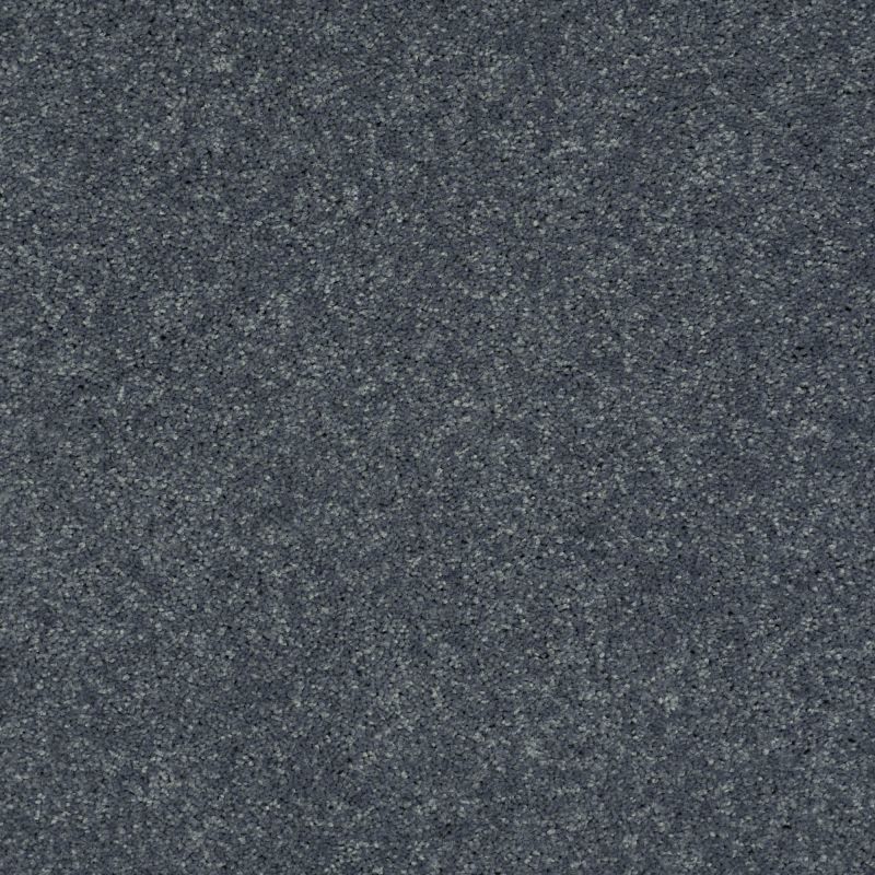 Shaw Floors Value Collections Well Played I 15' Net Pacific