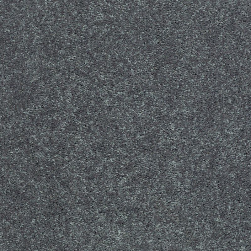 Shaw Floors Value Collections Well Played I 15' Net Charcoal