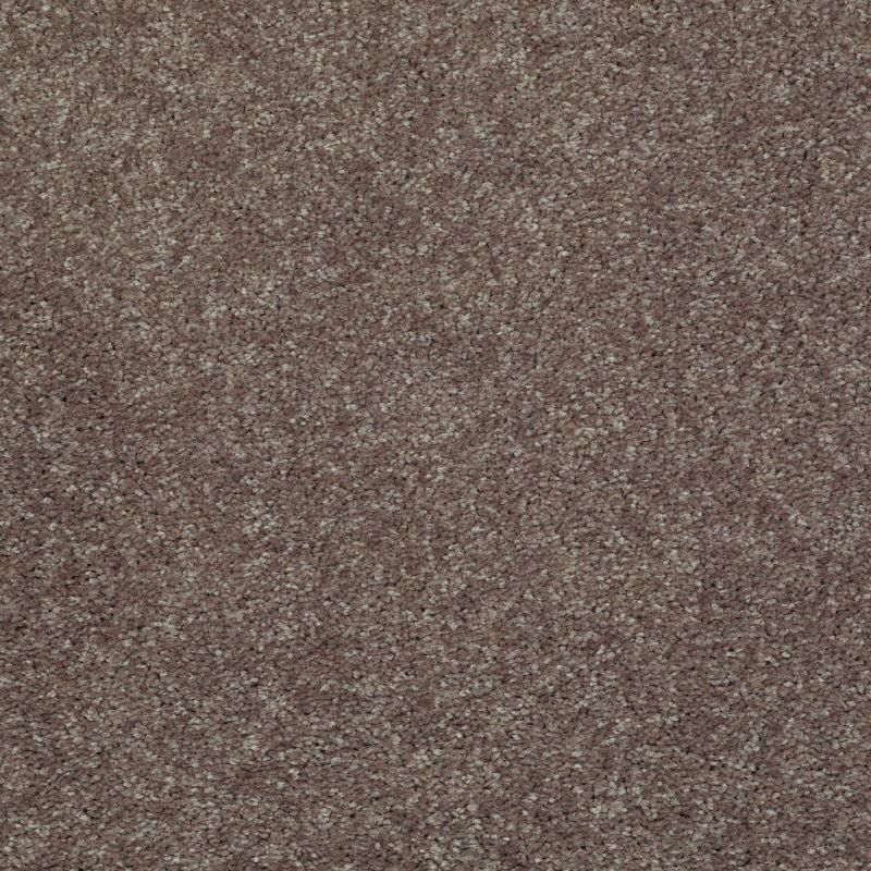 Shaw Floors Value Collections Well Played I 15' Net Briar Patch