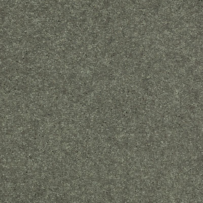 Shaw Floors Value Collections Well Played II 15' Net Spring Leaf