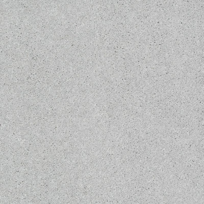 Shaw Floors Value Collections Well Played II 15' Net Sheer Silver