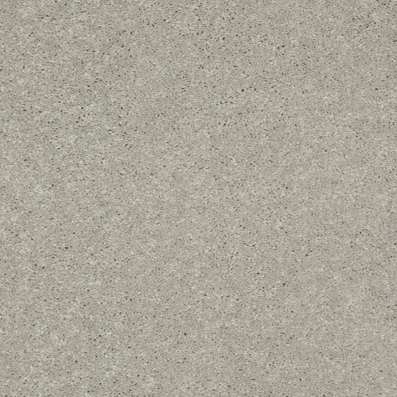 Shaw Floors Value Collections Well Played II 15' Net Dove Tail