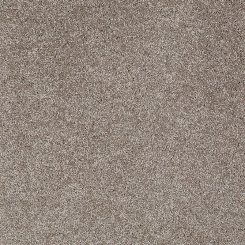 Shaw Floors Laguna Beach Ashen