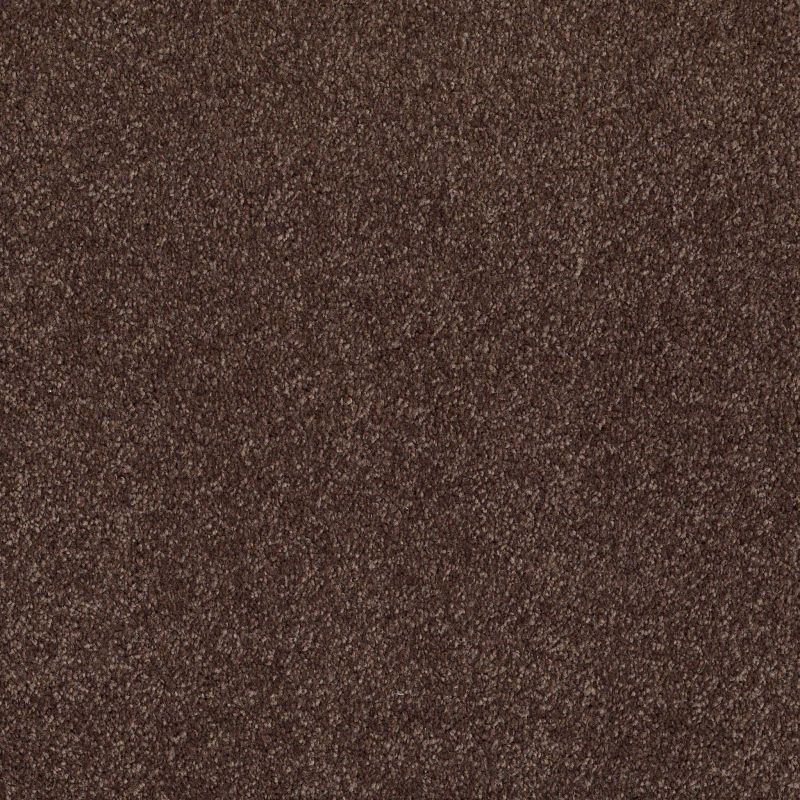 Shaw Floors Laguna Beach Maple