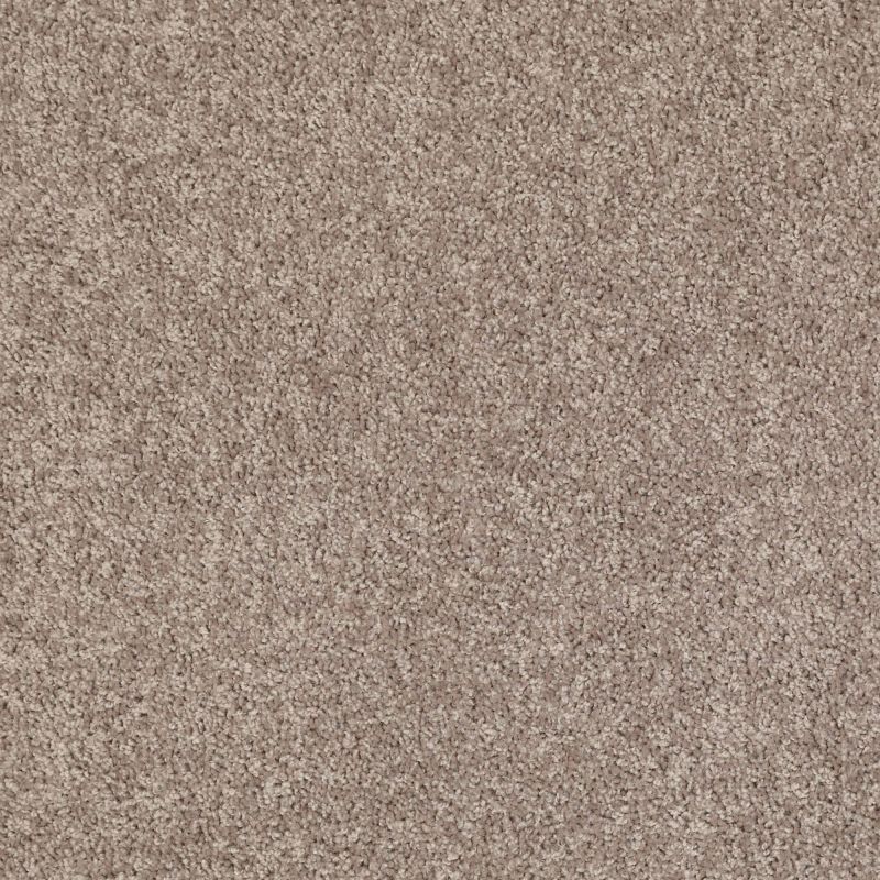 Shaw Floors Value Collections Mayville 12' Net Aloe