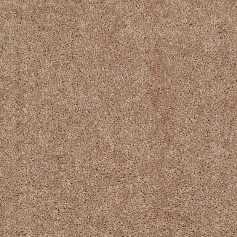 Shaw Floors Value Collections Mayville 12' Net Eagles Nest