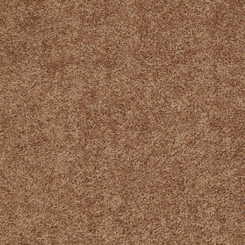 Shaw Floors Value Collections Mayville 12' Net Desert Sunrise