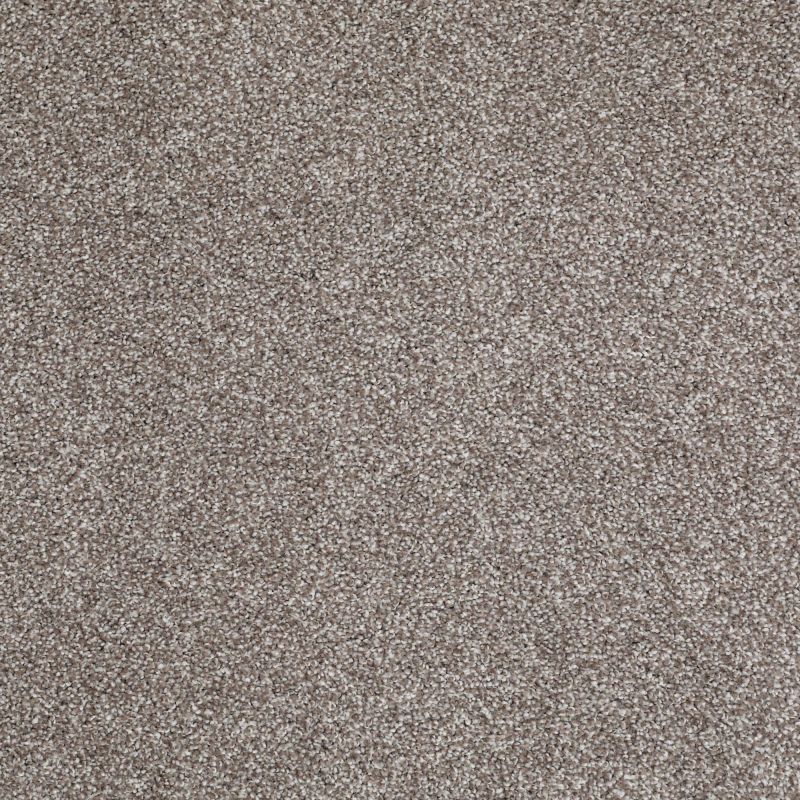 Shaw Floors Value Collections That's Right Net Moccasin