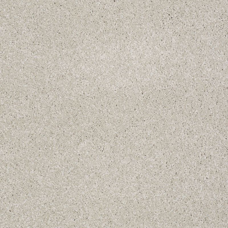 Shaw Floors Value Collections You Know It Net Mist