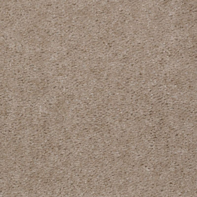 Shaw Floors Value Collections This Is It Net Ladys Choice