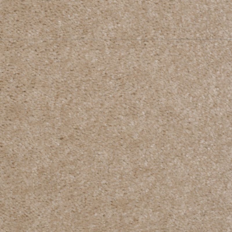 Shaw Floors Value Collections This Is It Net Basketry