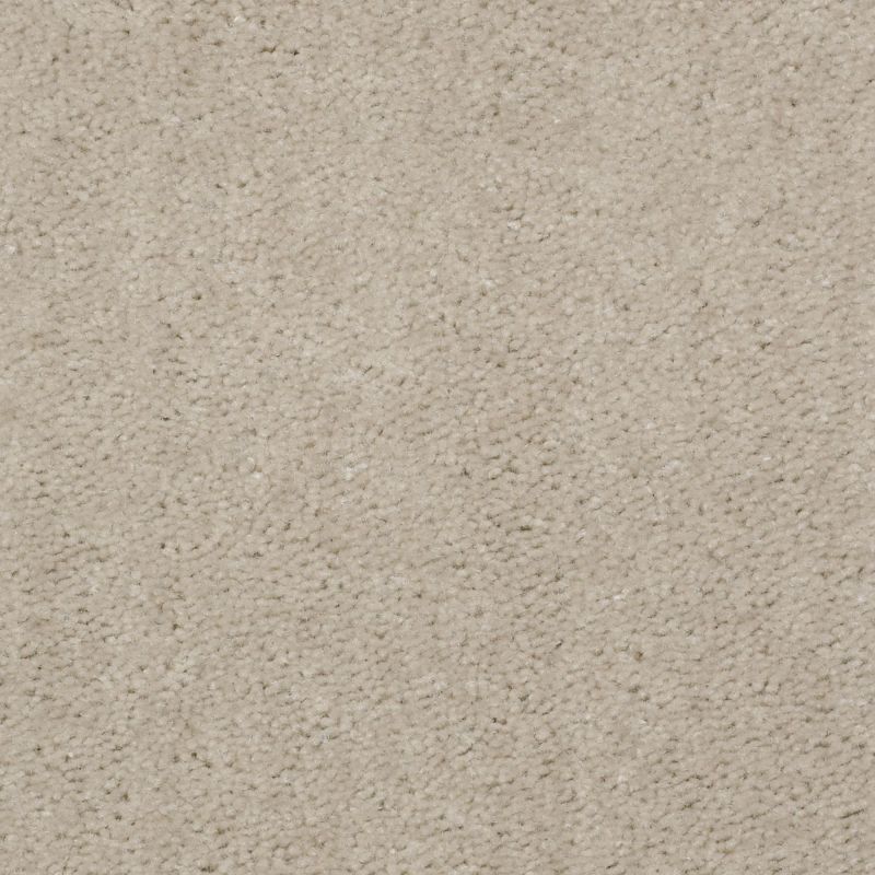 Shaw Floors Value Collections This Is It Net Coastal Sand