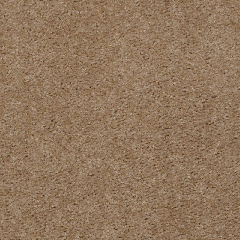 Shaw Floors Value Collections This Is It Net Winter Milk