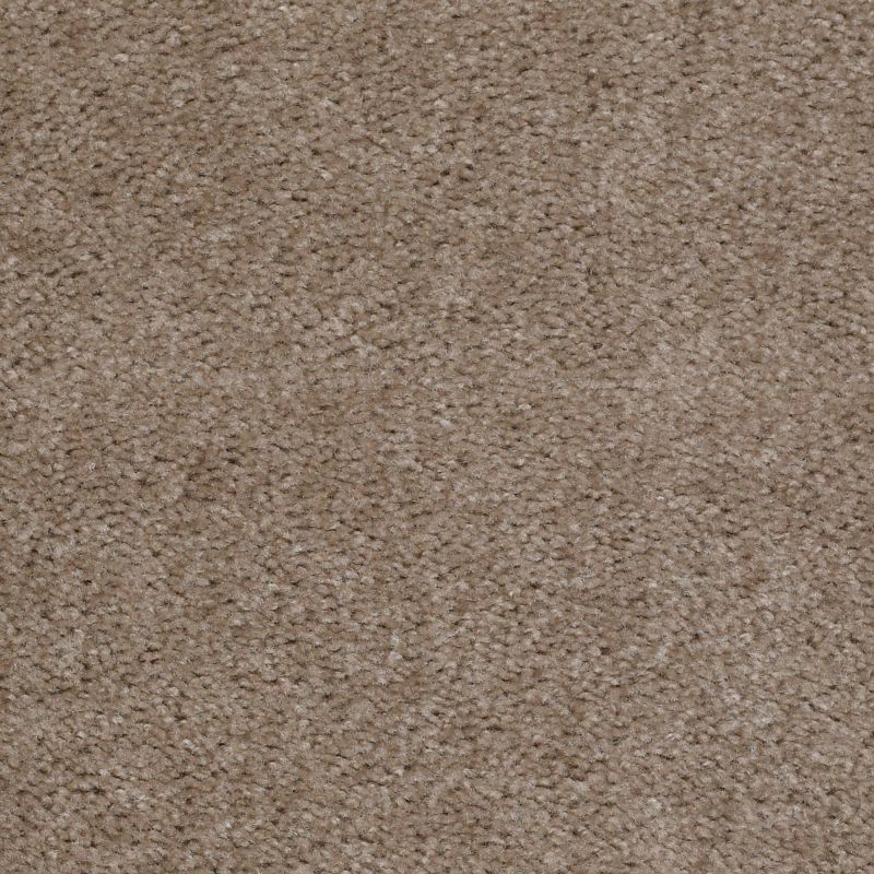 Shaw Floors Value Collections This Is It Net Wildwood