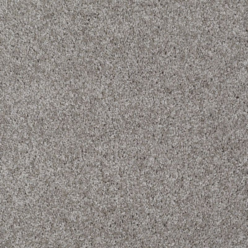 Shaw Floors Adam's Choice (s) Pewter Solid