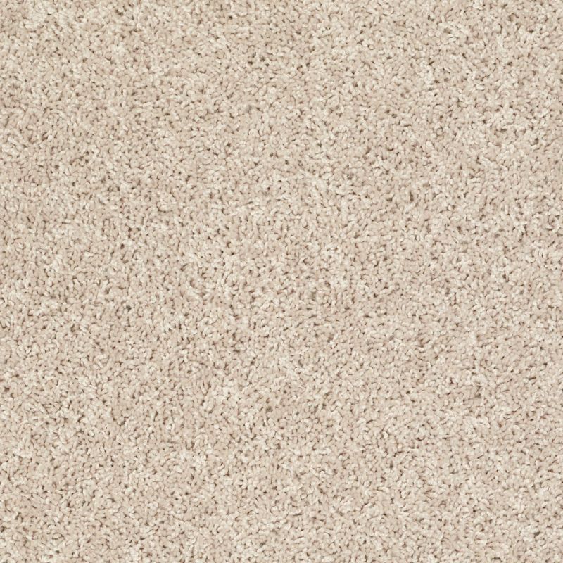 Shaw Floors Value Collections Xv442 Net Frosted Glass