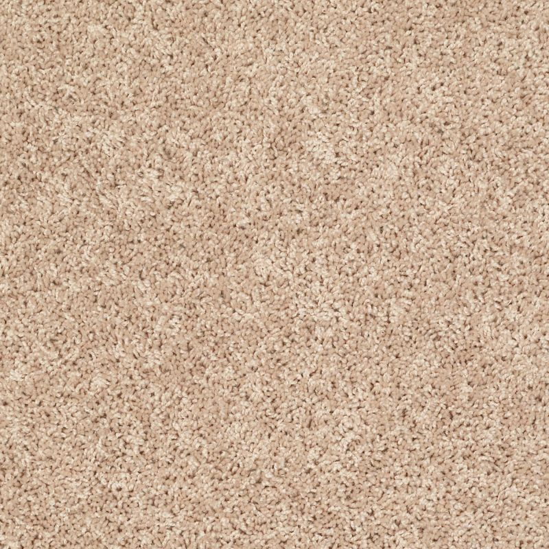 Shaw Floors Value Collections Xv442 Net Highland Buff