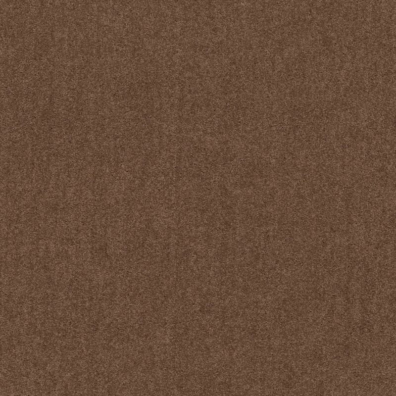 Shaw Floors Value Collections Dyersburg  Net Winter Wheat