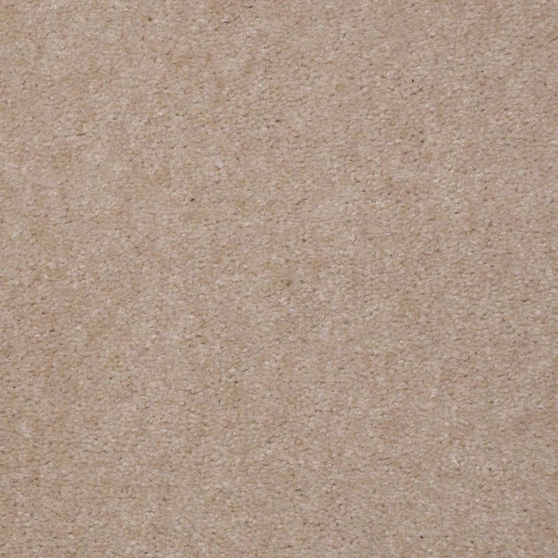 Shaw Floors Value Collections Hawkeye II Net Stucco Buff