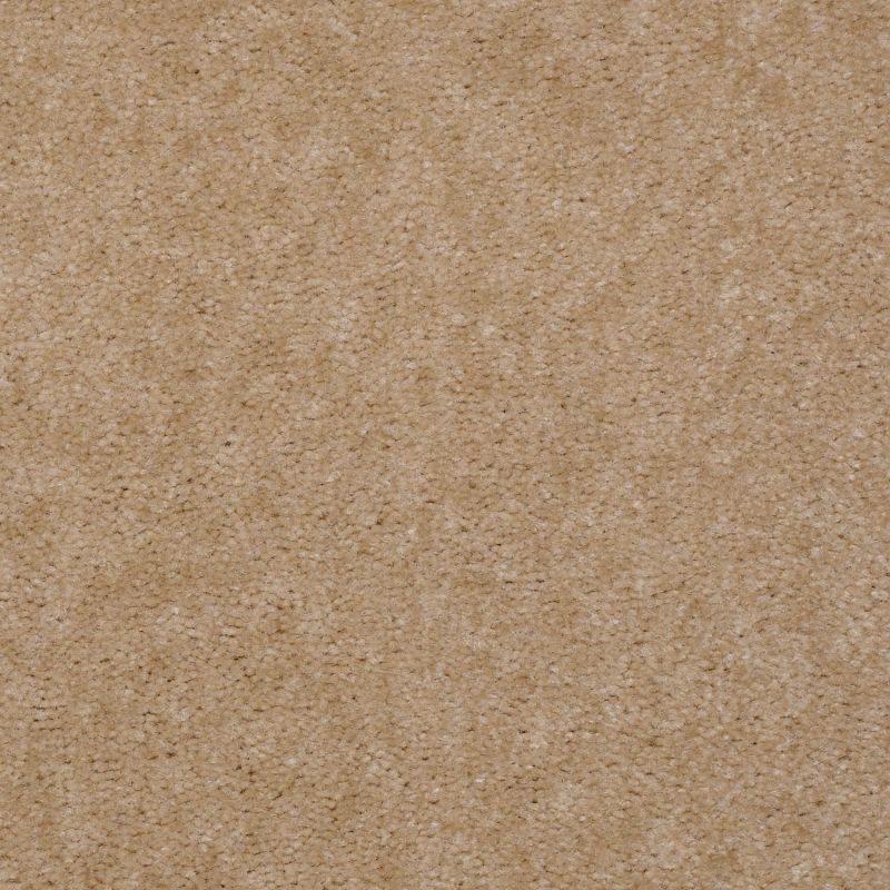 Shaw Floors Value Collections Hawkeye II Net Fawn's Leap