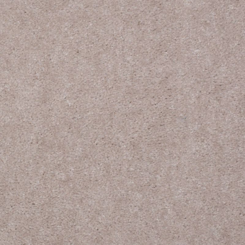 Shaw Floors Value Collections Hawkeye II Net Fossil