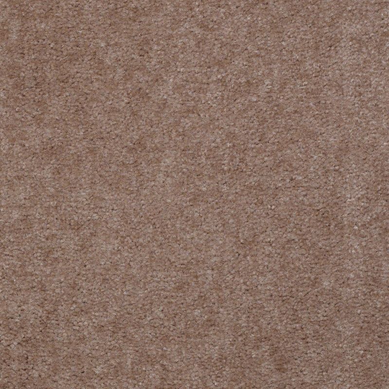 Shaw Floors Value Collections Hawkeye II Net Warm Mink