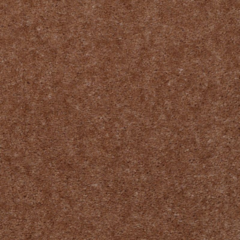 Shaw Floors Value Collections Hawkeye II Net Kidskin