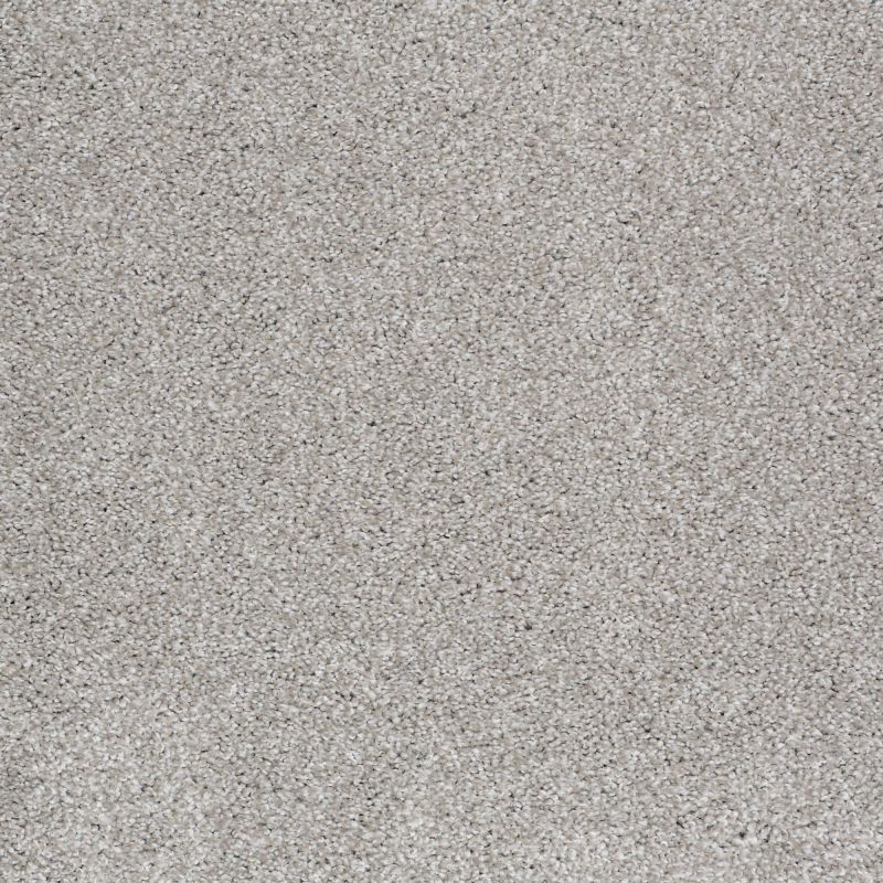 Shaw Floors Anso Open I (s) Frosted Ice