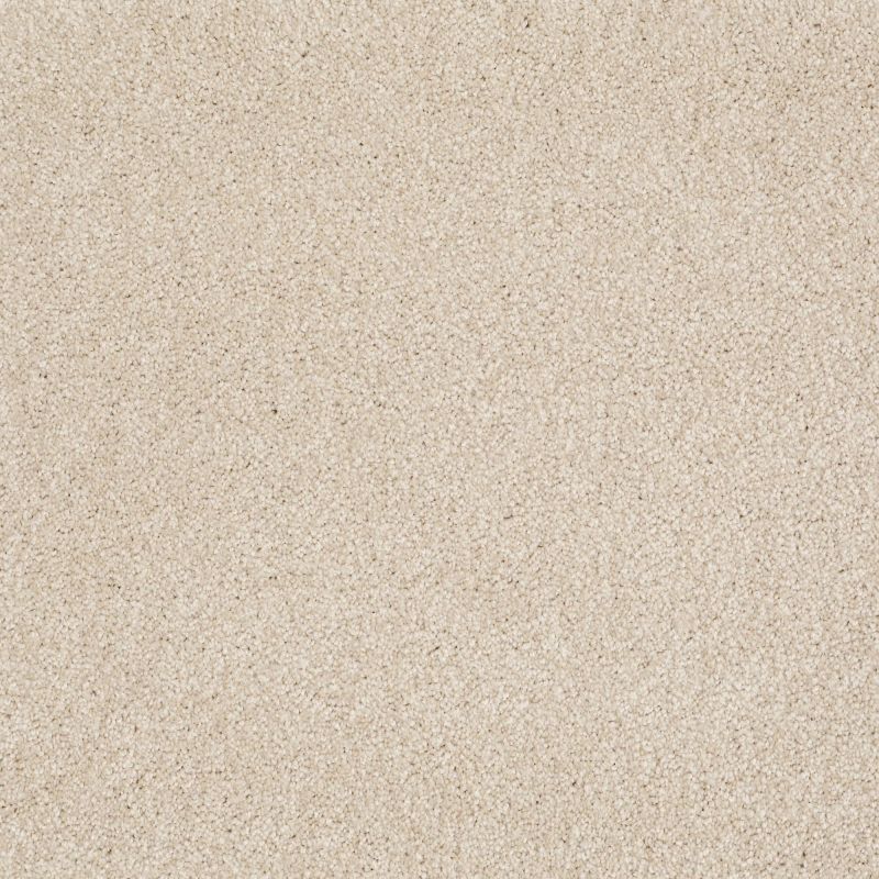 Shaw Floors Anso Open II (s) Sandy Shore