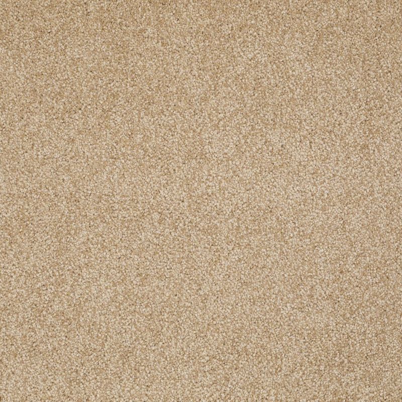 Shaw Floors Anso Open II (s) Oakwood