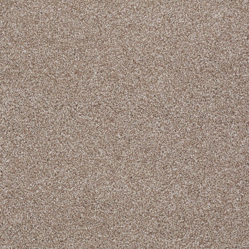 Shaw Floors Anso Open II (s) Sombrero